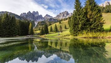 A serene lake with reflections of trees and mountains, surrounded by lush greenery and a clear sky.