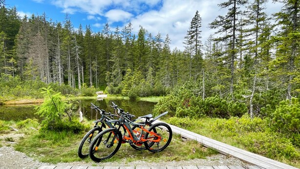 A wooden dock leading to a lake surrounded by dense forest. - Landhaus Vierthaler (Filzmoos)