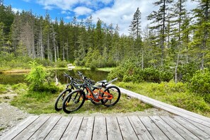 Bicycling - Landhaus Vierthaler (Filzmoos)