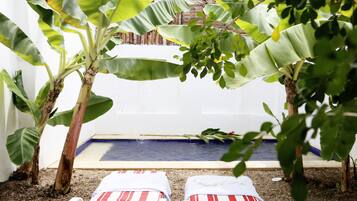 2 piscinas al aire libre