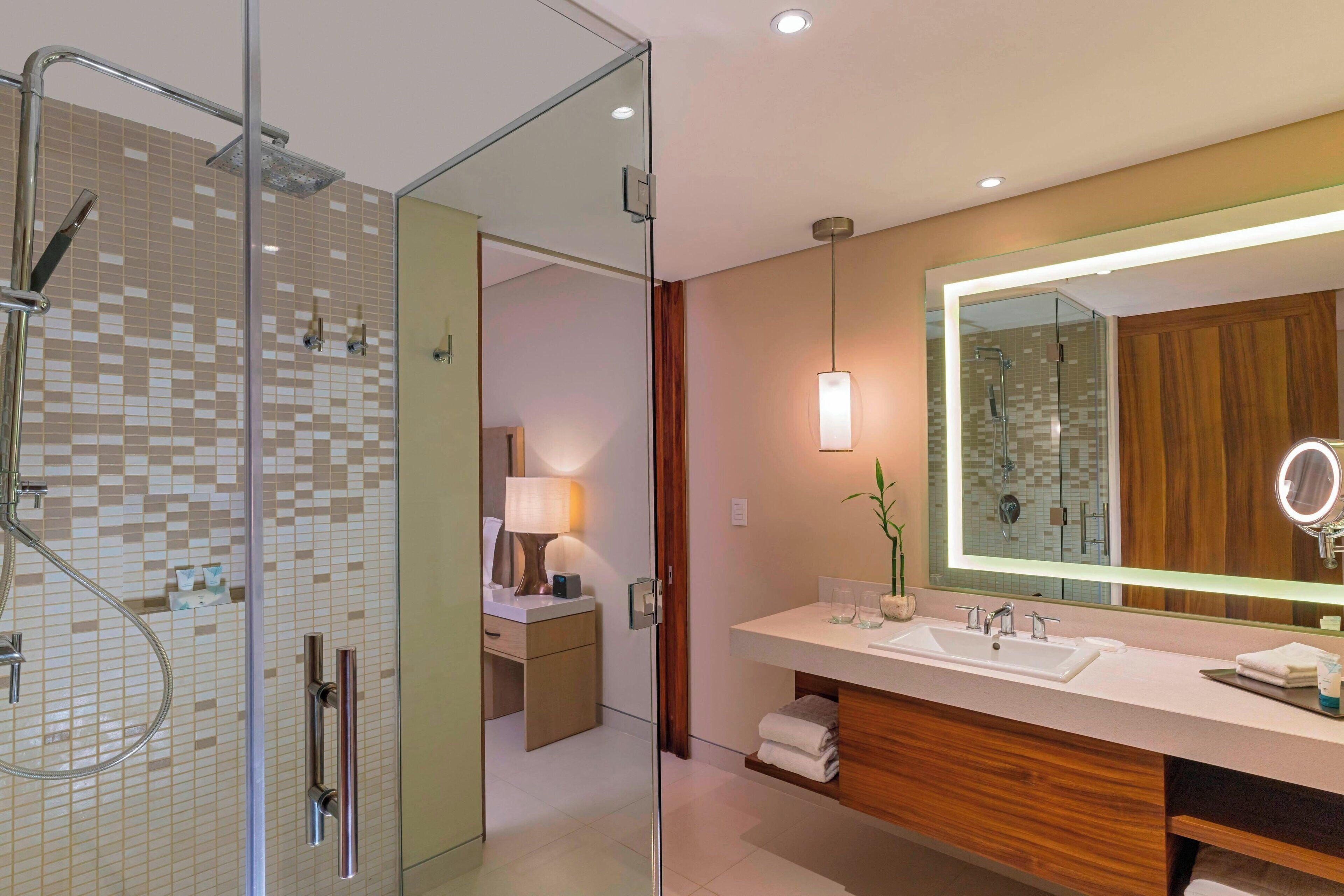 A modern bathroom with a glass shower enclosure, a large mirror, and a wooden vanity.