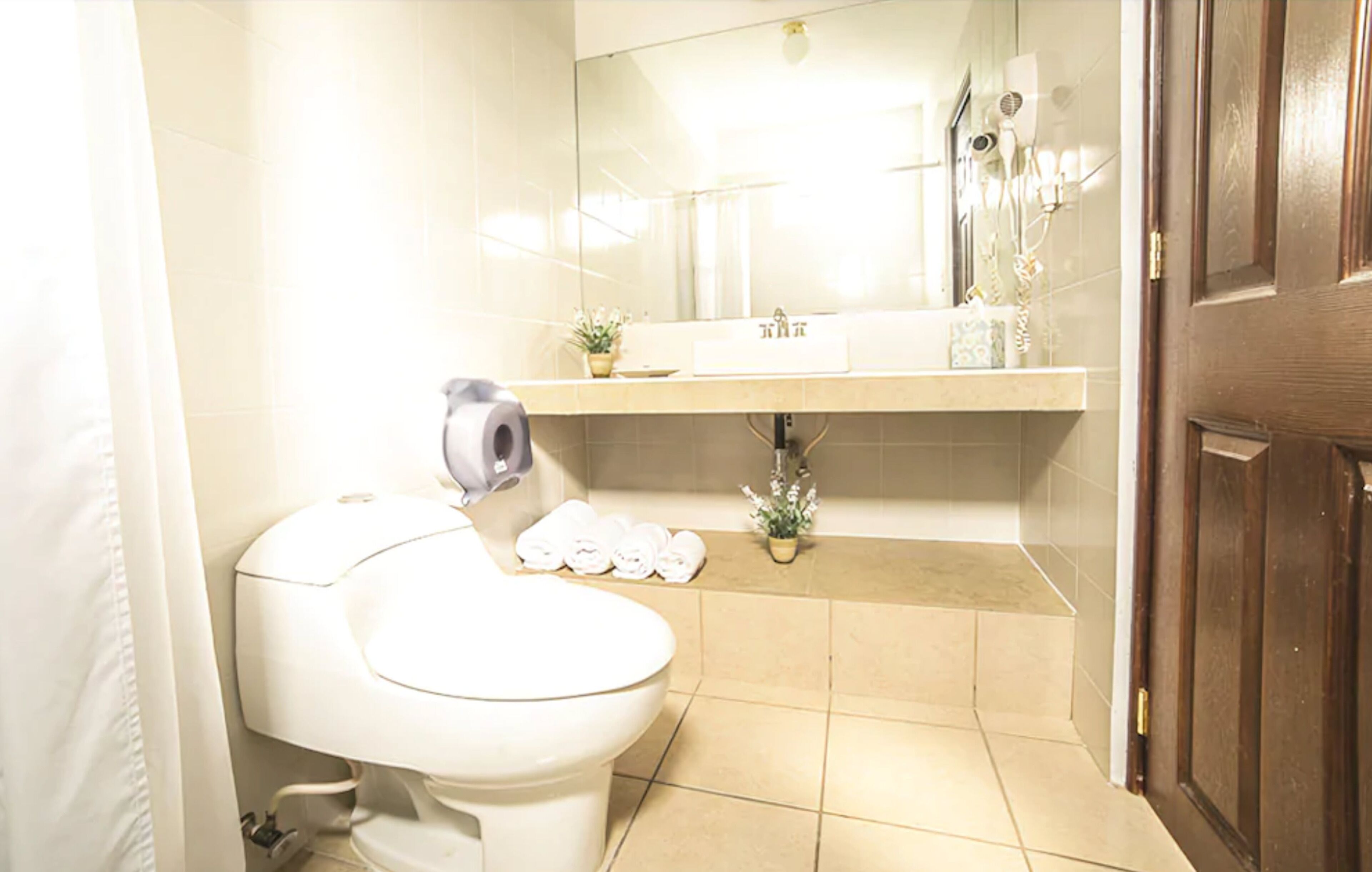 shower, free toiletries, hair dryer, towels