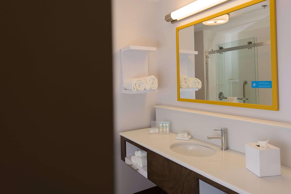 room, 1 king bed, accessible, non smoking (mobility & hearing, roll-in shower) | bathroom shower