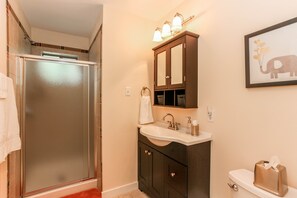 Regadera, secadora de cabello, toallas, jabón 