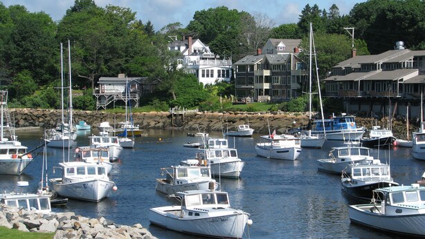 A marina with multiple boats docked, surrounded by residential buildings and greenery.