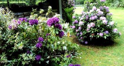 Four Seasons Home 3 + eekkeriä Streams Borders Pisgah National Forest