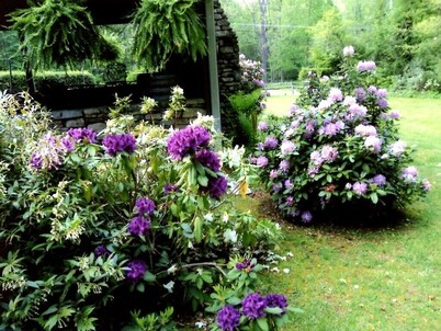 Four Seasons Home on 3 + Acres with Streams Borders Pisgah National Forest 