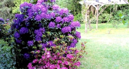 Four Seasons Home on 3 + Acres with Streams Borders Pisgah National Forest