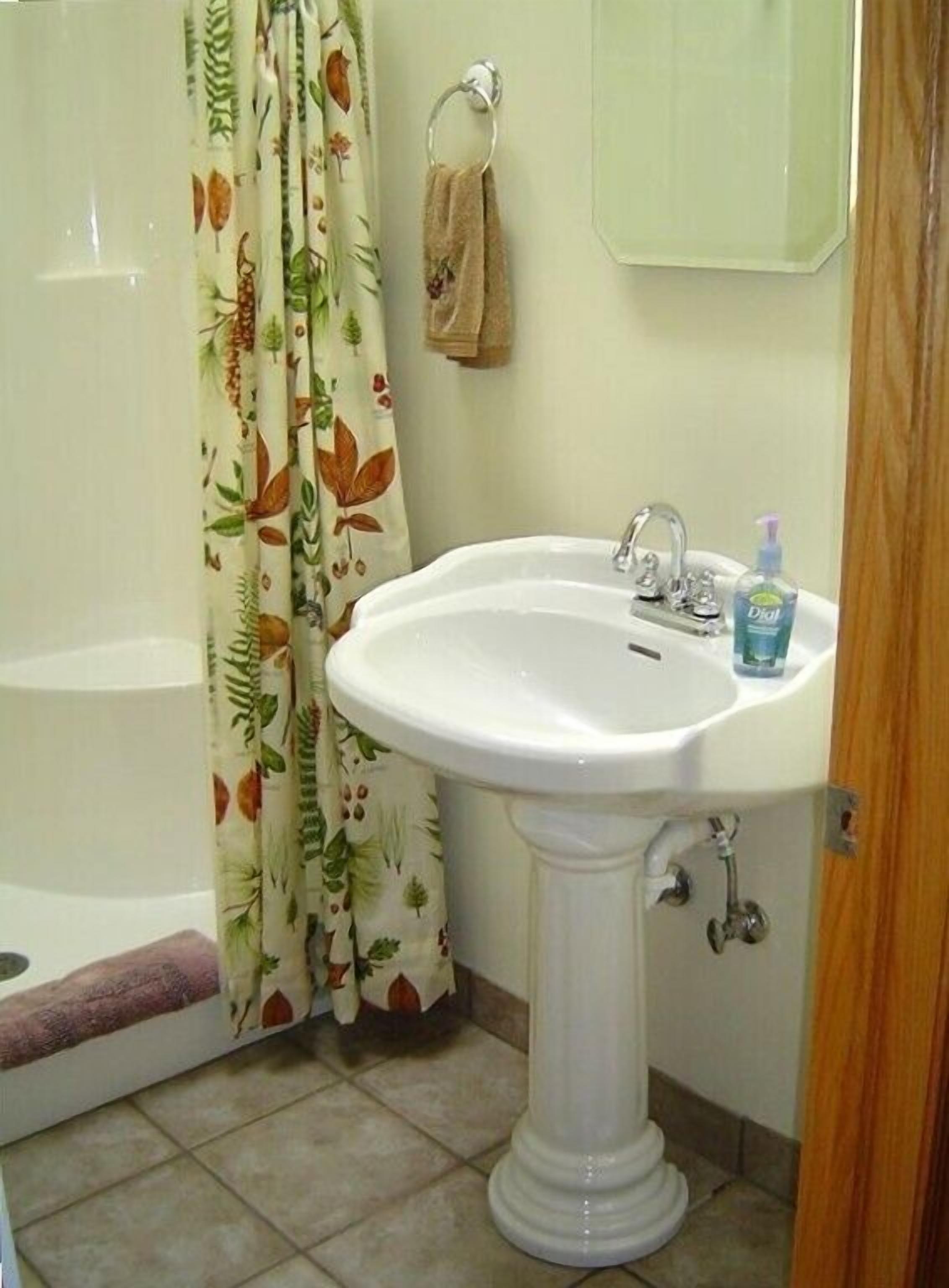 A bathroom with a white pedestal sink, a shower curtain with a leaf pattern, and a visible toilet paper holder.