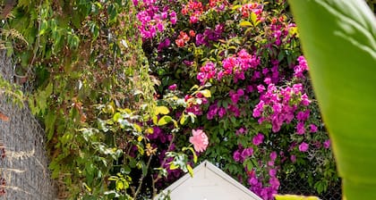 Fabuleuse villa privée et piscine dans le centre de Lisbonne