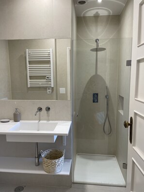 Shower, hair dryer, bidet, towels