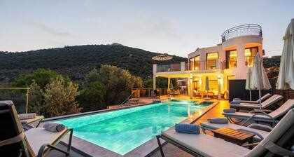 Stunning holiday villa with a private swimming pool up to 8