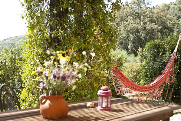 A wooden table with a potted plant and a lantern, set against a backdrop of a hammock and lush greenery.