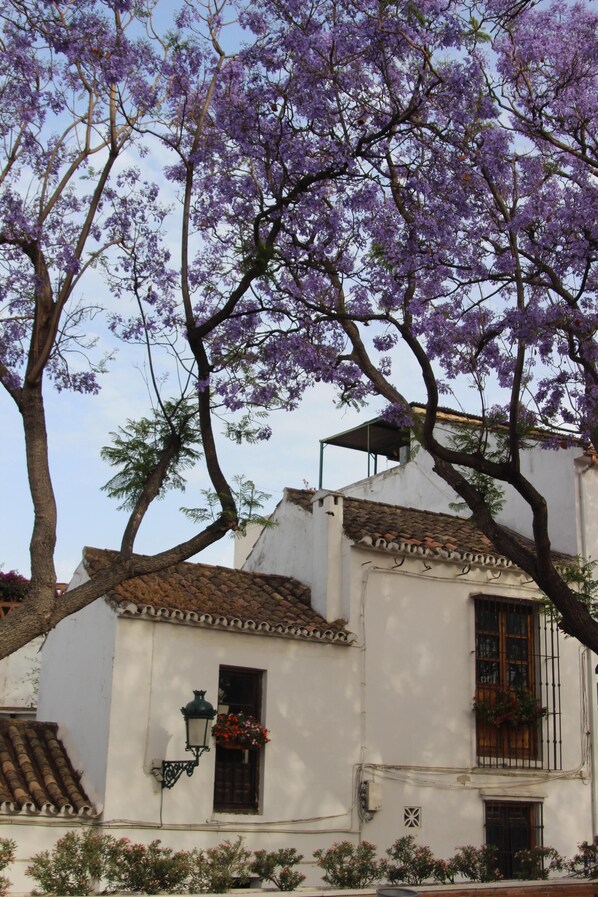 Exterior - B&B, double glazing, 10 minutes drive from Málaga airport, MAXIMUM 4 NIGHTS  (Churriana)