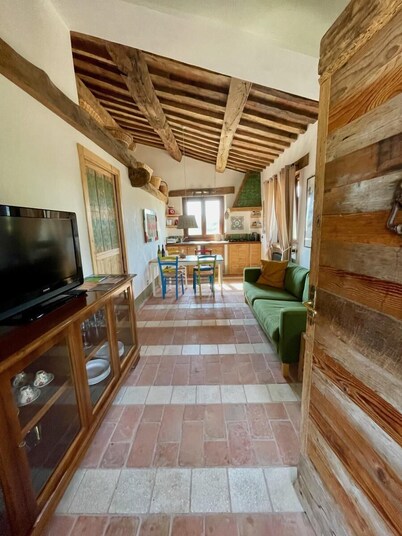 Deluxe Apartment   The Olive Tree Apartment