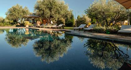 La Corte del Gusto | Authentic small-scale domain with infinity pool | Olive