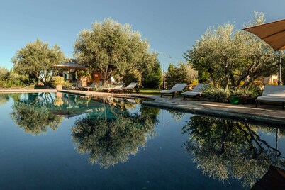 Deluxe Apartment   The Olive Tree Apartment