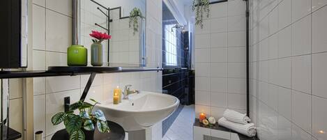 Shower, hair dryer, bidet, towels