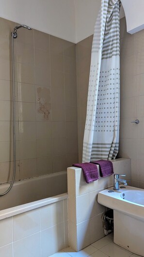 Combined shower/bathtub, bidet, towels, toilet paper
