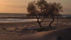 A beach scene with sand dunes and a tree. - HOUSE OF THE DUNES - DONNALUCATA (Donnalucata)