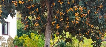 Cottage on a quiet place, ideal for rest