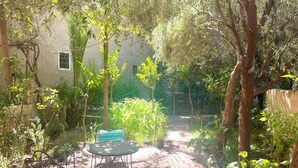 A paved garden area with a metal table and chairs, surrounded by various plants and trees.