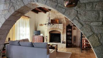 Smart-TV, Kamin, Bücher, Musikbibliothek