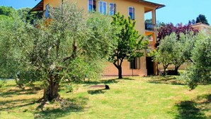 A two-story house with a balcony, surrounded by olive trees.