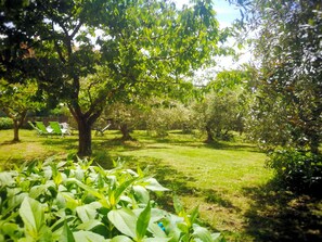 Jardines del alojamiento