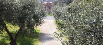 CASA CON GIARDINO SULLE COLLINE TOSCANE WI-FI FREE