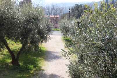 HOUSE WITH GARDEN ON THE TUSCAN HILLS about 20 minutes from the sea WI-FI FREE