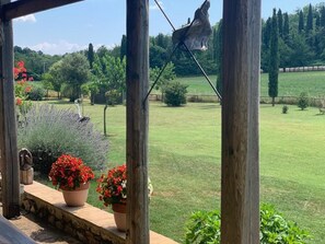 Property grounds - ALL PROPERTY 7BR - Charming Tuscan Villa with pool, hot tub, A/C,Siena 15 km (Siena, Toscana)