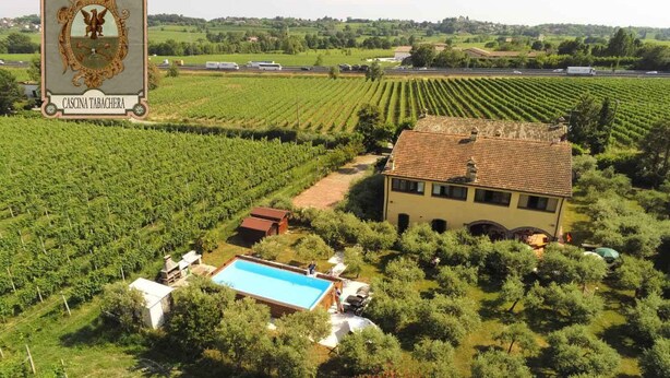 A vineyard with rows of grapevines, a large building with a tiled roof, and a swimming pool. - TABACHERA x10 Country House Sirmione GARDA LAKE (pozzolengo)