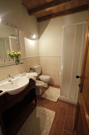 Ducha, secador de pelo, bidé y toallas