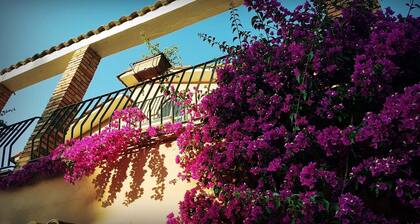 Rome: Flat - 4 rooms for 4/5 persons: House with pool and garden