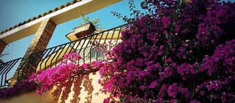 Rome: Flat - 4 rooms for 4/5 persons: House with pool and garden