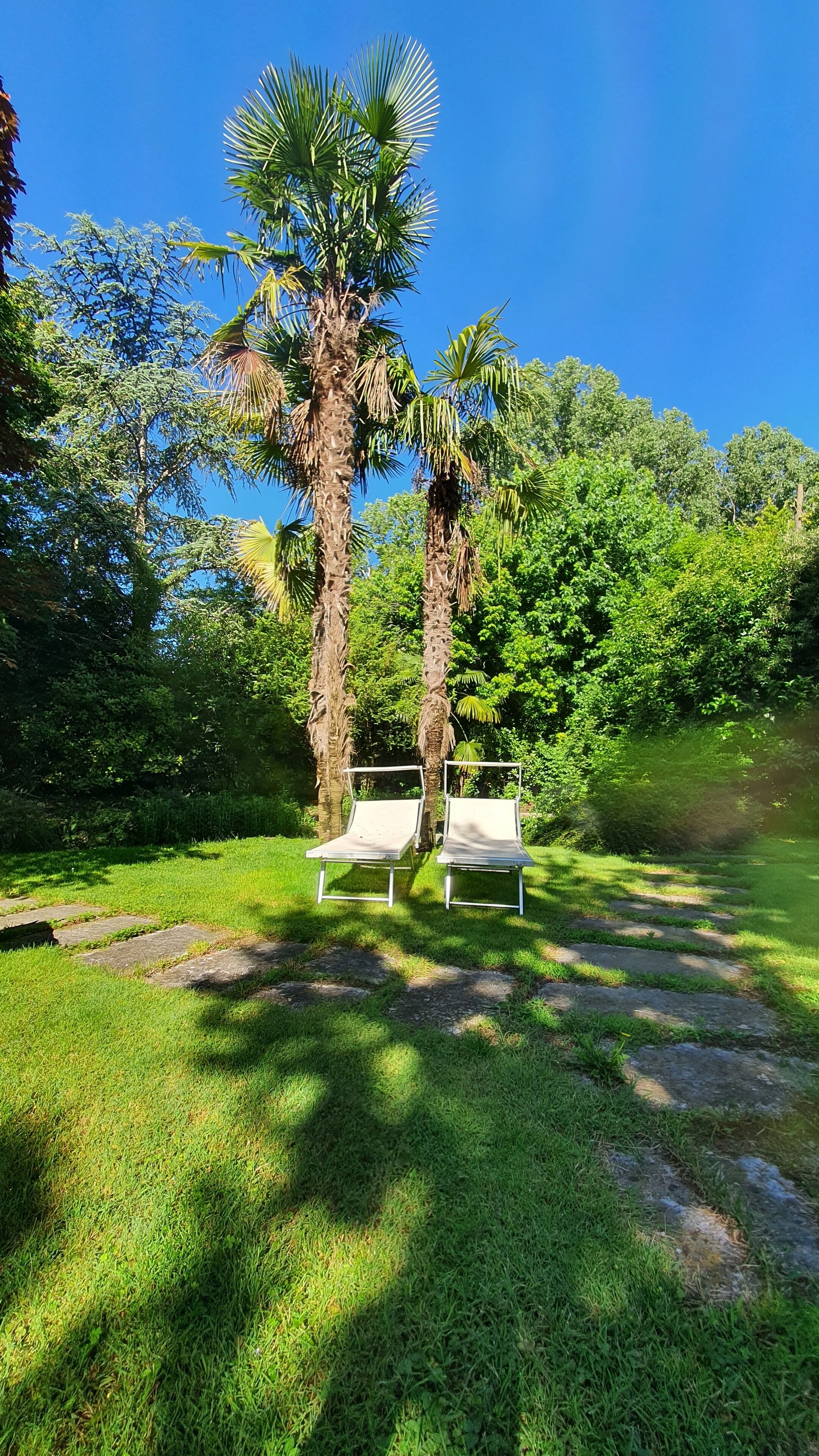 Jardines del alojamiento