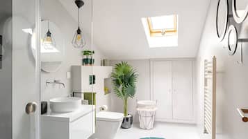 Combined shower/tub, hair dryer, bidet, towels
