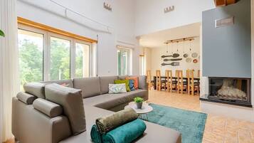 Televisión, chimenea, videojuegos y reproductor de DVD