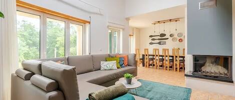 TV, fireplace, video games, DVD player