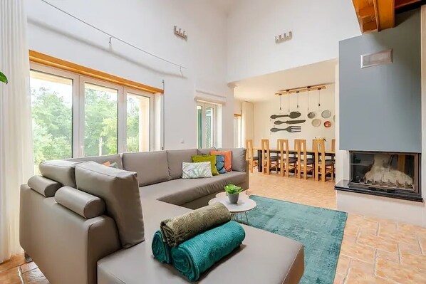 TV, fireplace, video games, DVD player