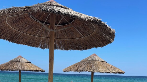 Una playa con sombrillas de paja y sillones reclinables.