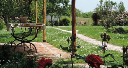 Isolated on hill, flat with terrace,garden among romanesque art,quiet,nature