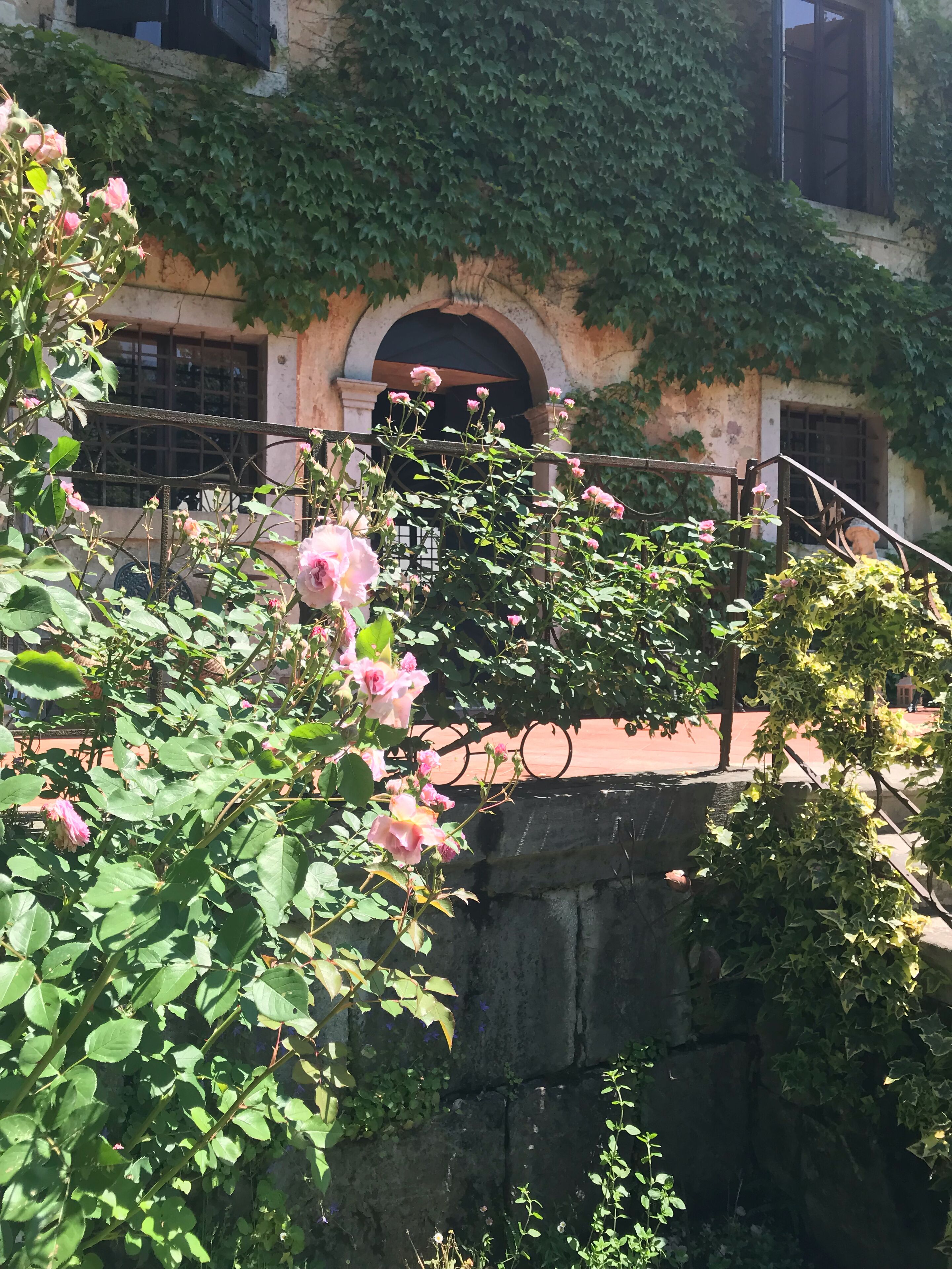 Detalle del exterior