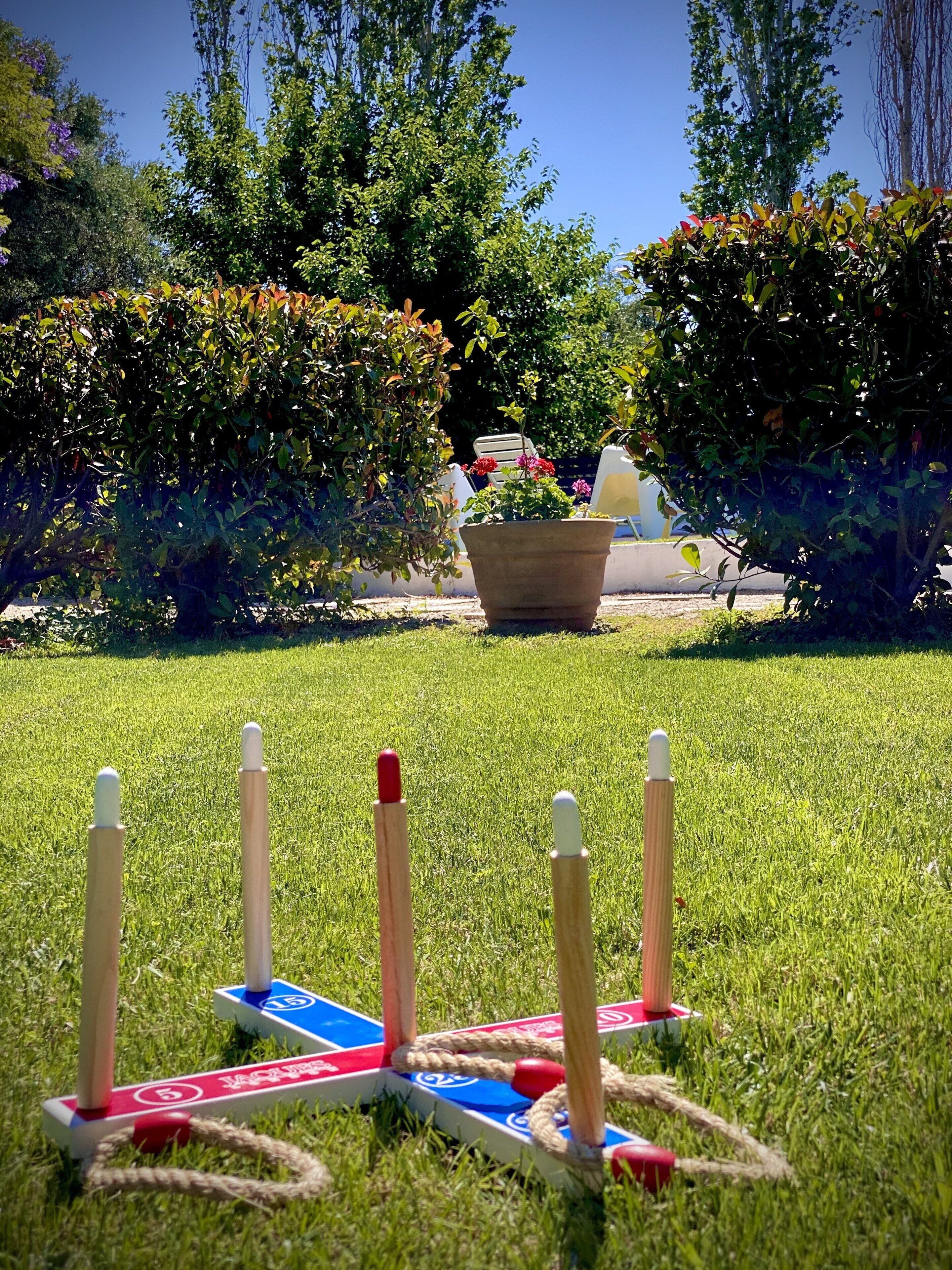 Un jeu de société est installé sur une pelouse verdoyante, avec une plante en pot et des chaises en arrière-plan.