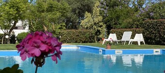 Olivetree  is set in our beautiful landscaped gardens close to the pool