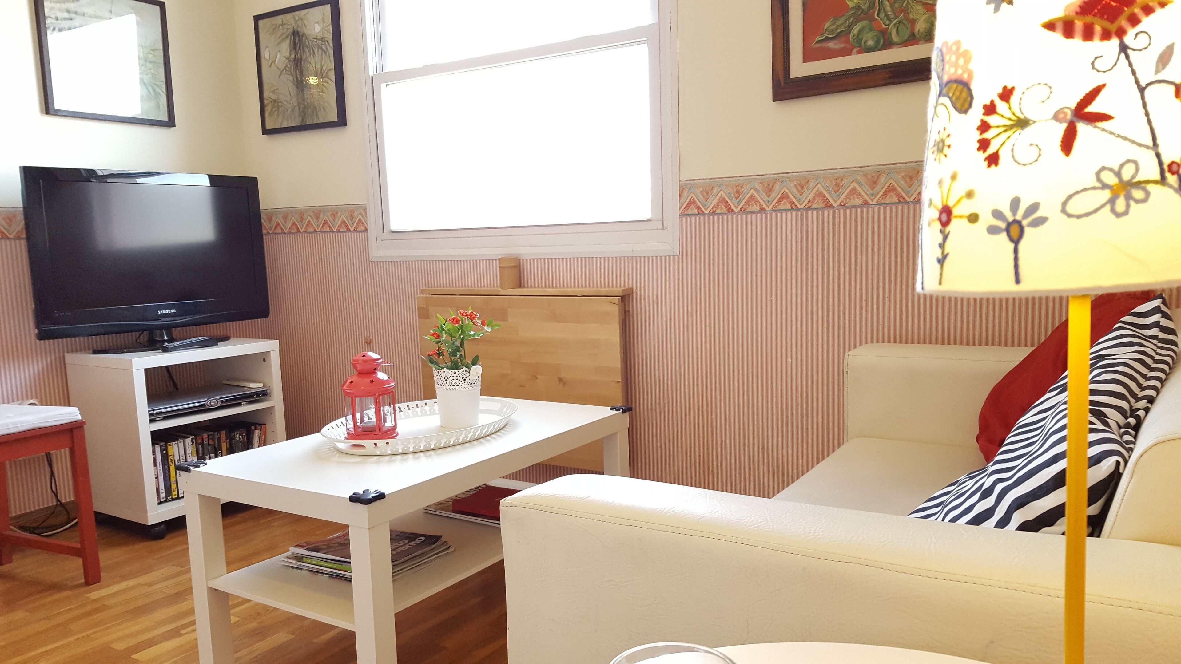 TV, DVD player, books, video library