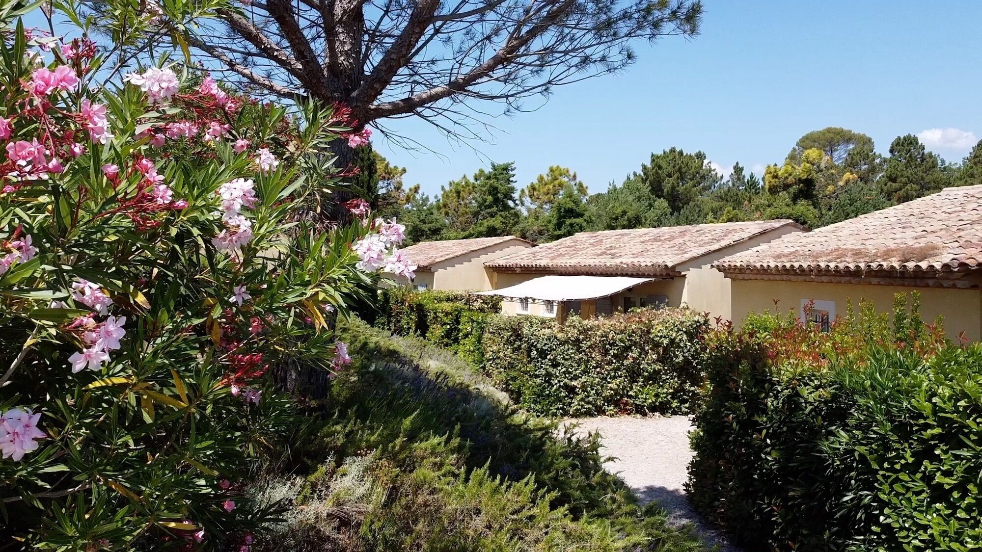 Een rij traditionele gebouwen in mediterrane stijl, met terracotta daken, omgeven door weelderig groen en bloeiende planten.