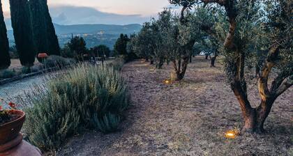 Il Polveraio Agriturismo Casa Marianna - Land nur einen Steinwurf vom Meer entfernt