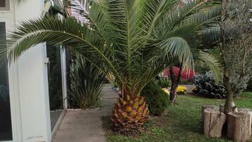 Detalle del exterior